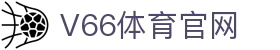 V66体育 - 顶级性能拒绝任何竞技延迟